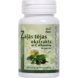 GREEN TEA WITH C VITAMIN, KAPSULAS N60